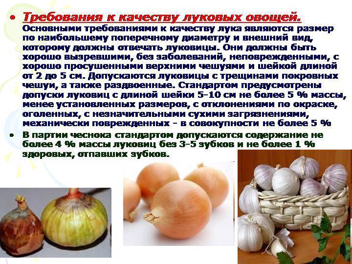 Польза и вред чеснока для детей