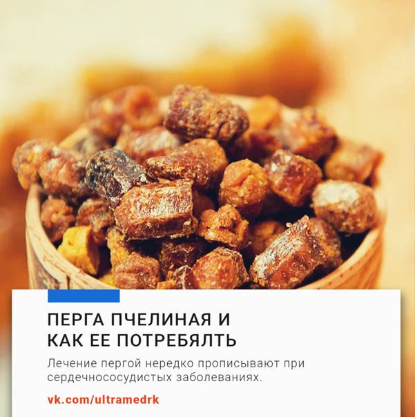 Перга пчелиная как принимать