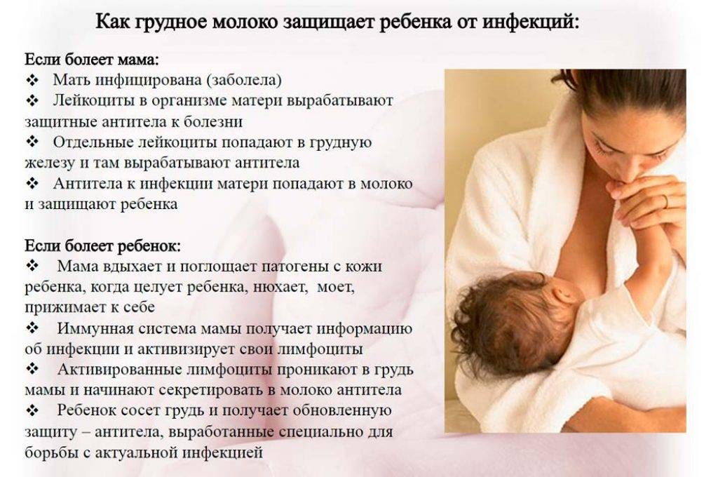 Можно ли молоко кормящей маме?