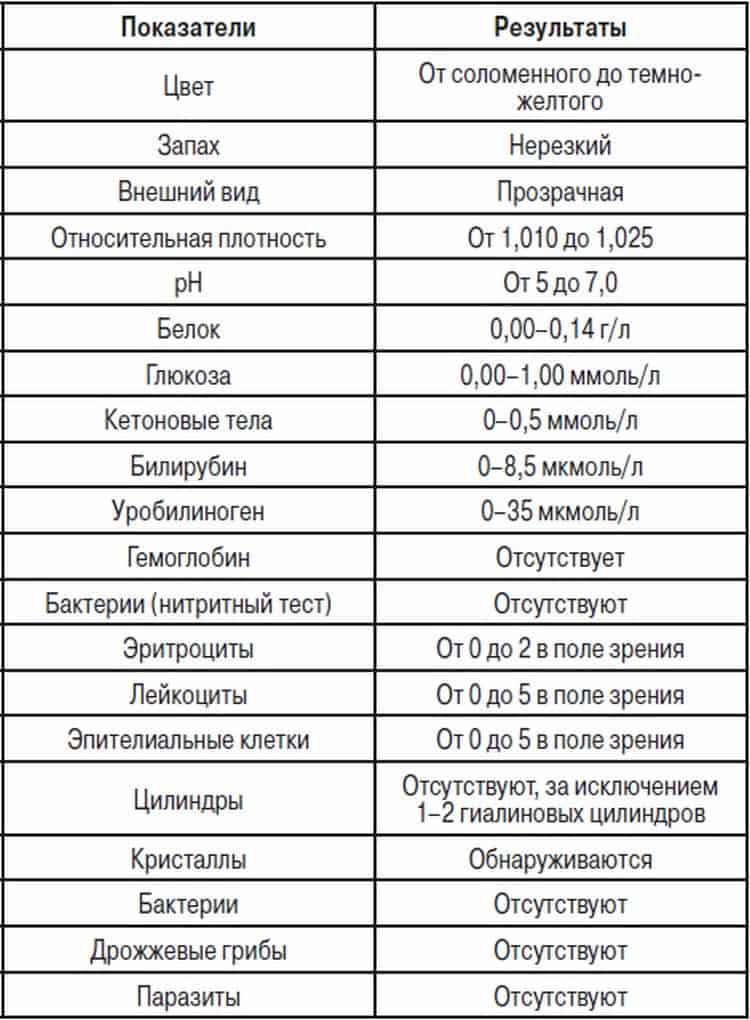 Почему у ребенка в моче повышены лейкоциты: возможные причины