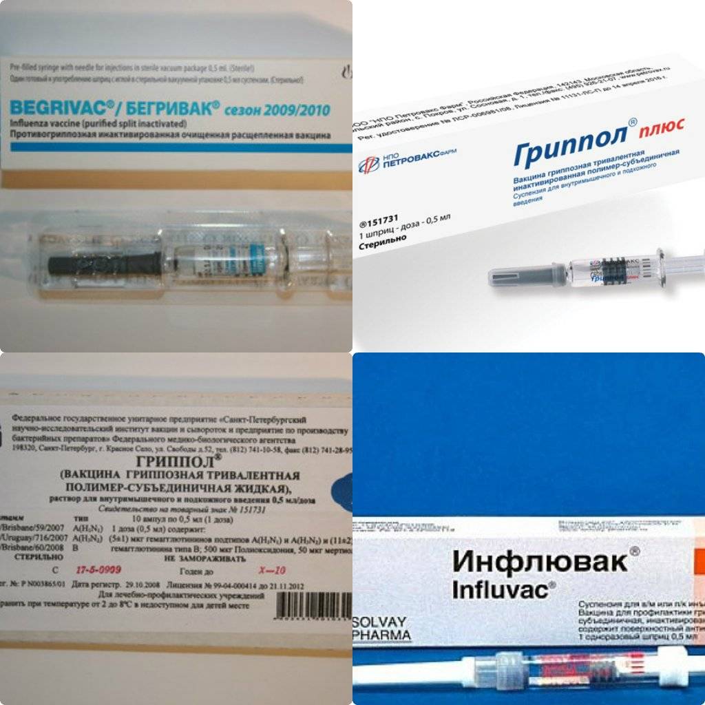 Рекомендации по прививкам беременных женщин от гриппа