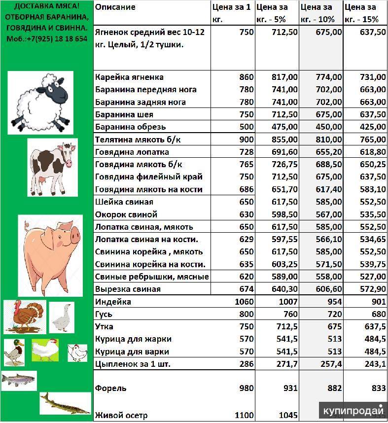 Мясо живым весом. Расценки свинины. Расценки на мясо свинины. Расценки на мясо говядины. Сколько стоит 1 килограмм говядины.