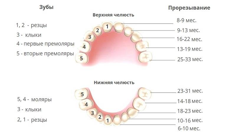 Врач-педиатр расскажет вам о том, как отличить симптомы прорезывания зубов от признаков болезни