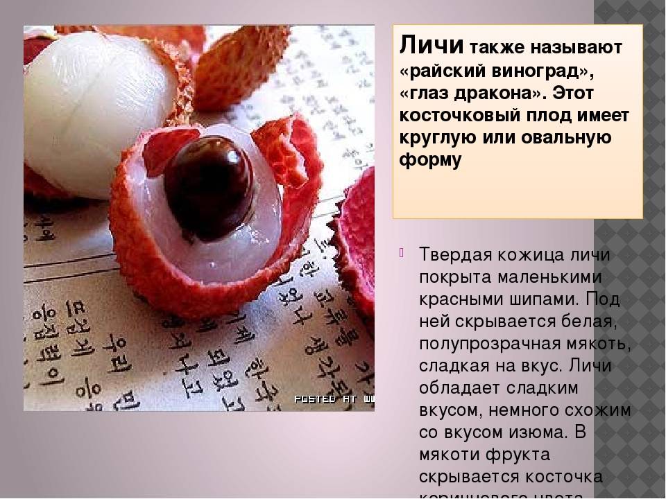 Фрукт личи - что это такое, польза, как его едят, какой вкус