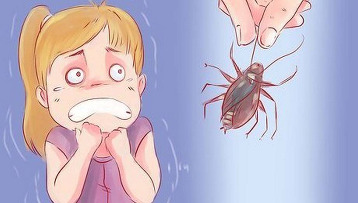 Ребенок панически боится насекомых до истерики, что делать?— психологический центр инсайт