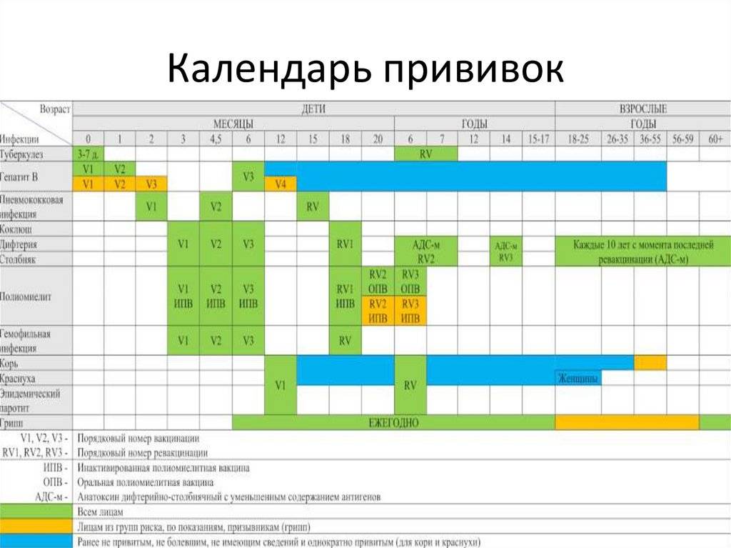 Схема прививок для детей с рождения до 7 лет