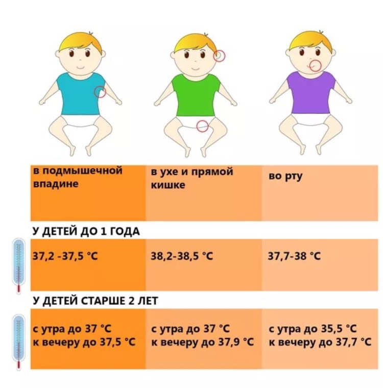 Температура ребенка 6 месяцев делать. Норма температуры тела у ребенка до 1 года по месяцам. Норма температуры у грудничка в 4 месяца. Норма температуры у ребенка 3 мес. Норма температуры у детей 2.
