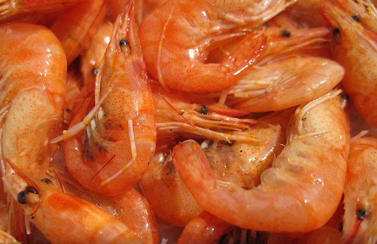 Морепродукты в питании детей