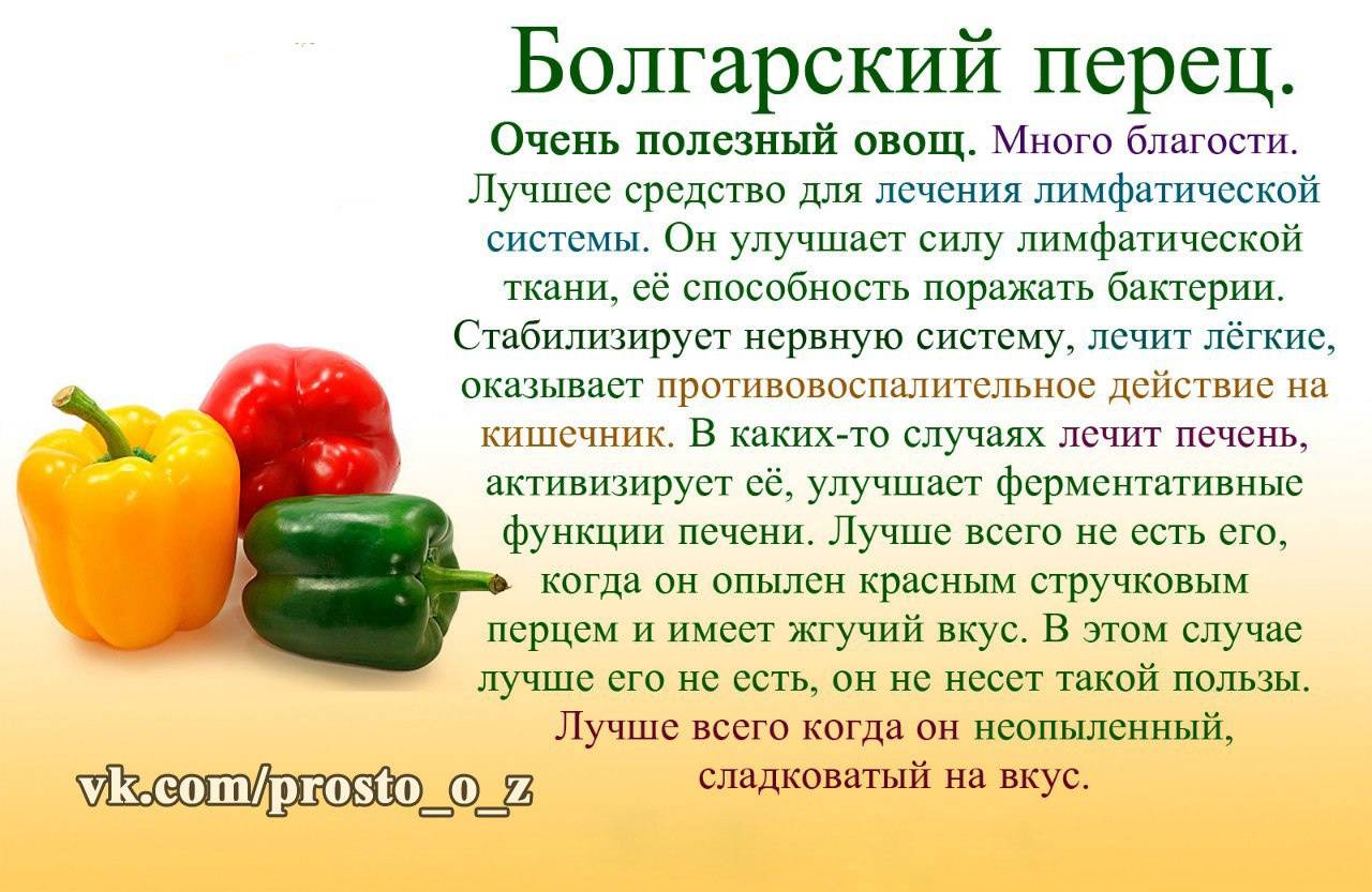 Болгарский перец для детей