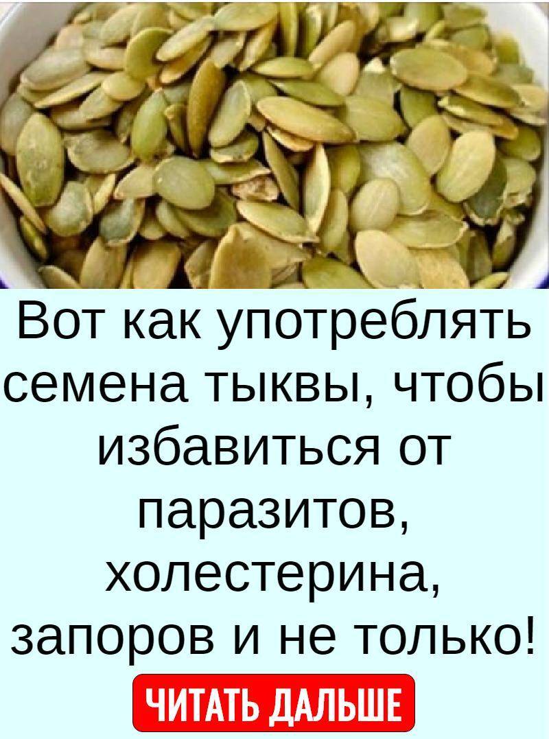 Можно ли есть семечки беременным