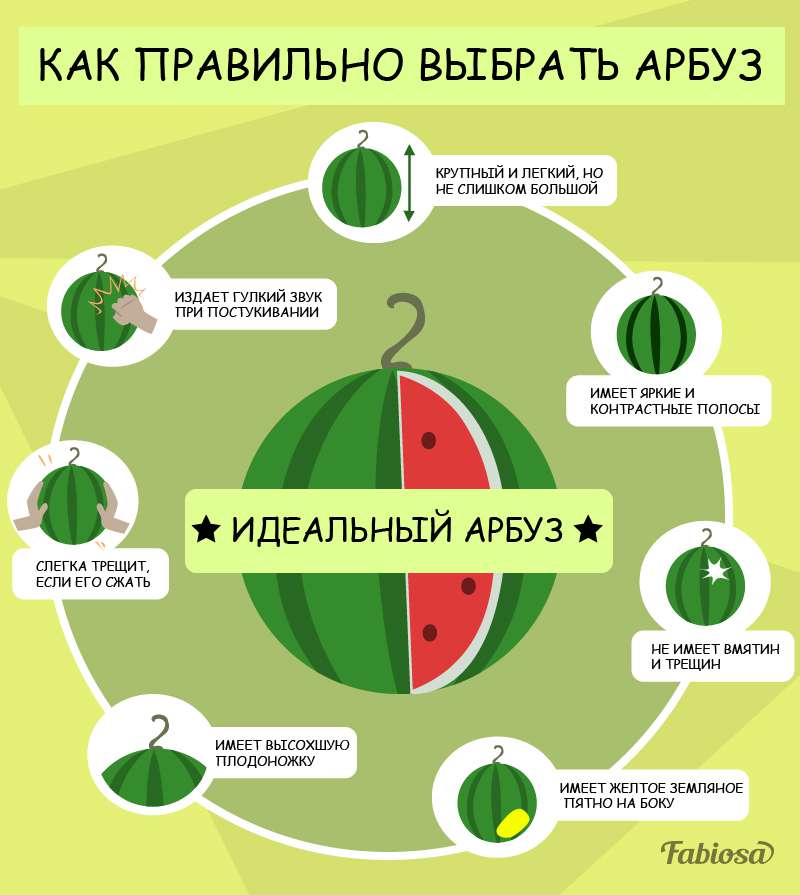 Как выбрать спелый, сладкий и вкусный арбуз без нитратов, проверенные методы