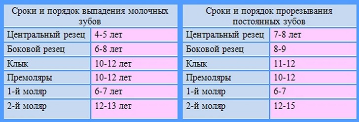 Сроки выпадения молочных зубов у детей