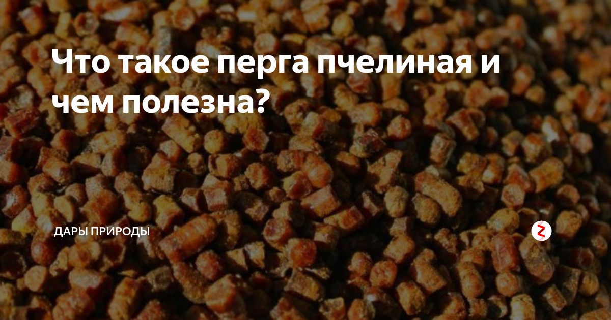 Пыльца пчелиная при беременности: польза и рецепты