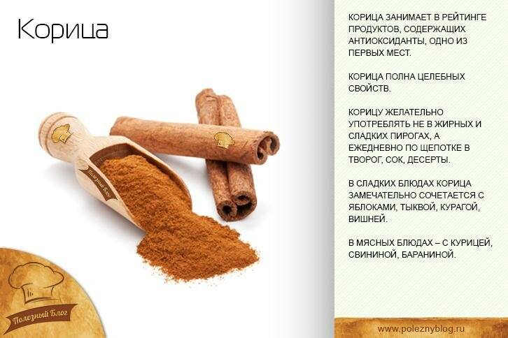 Польза корицы для организма и возможный вред