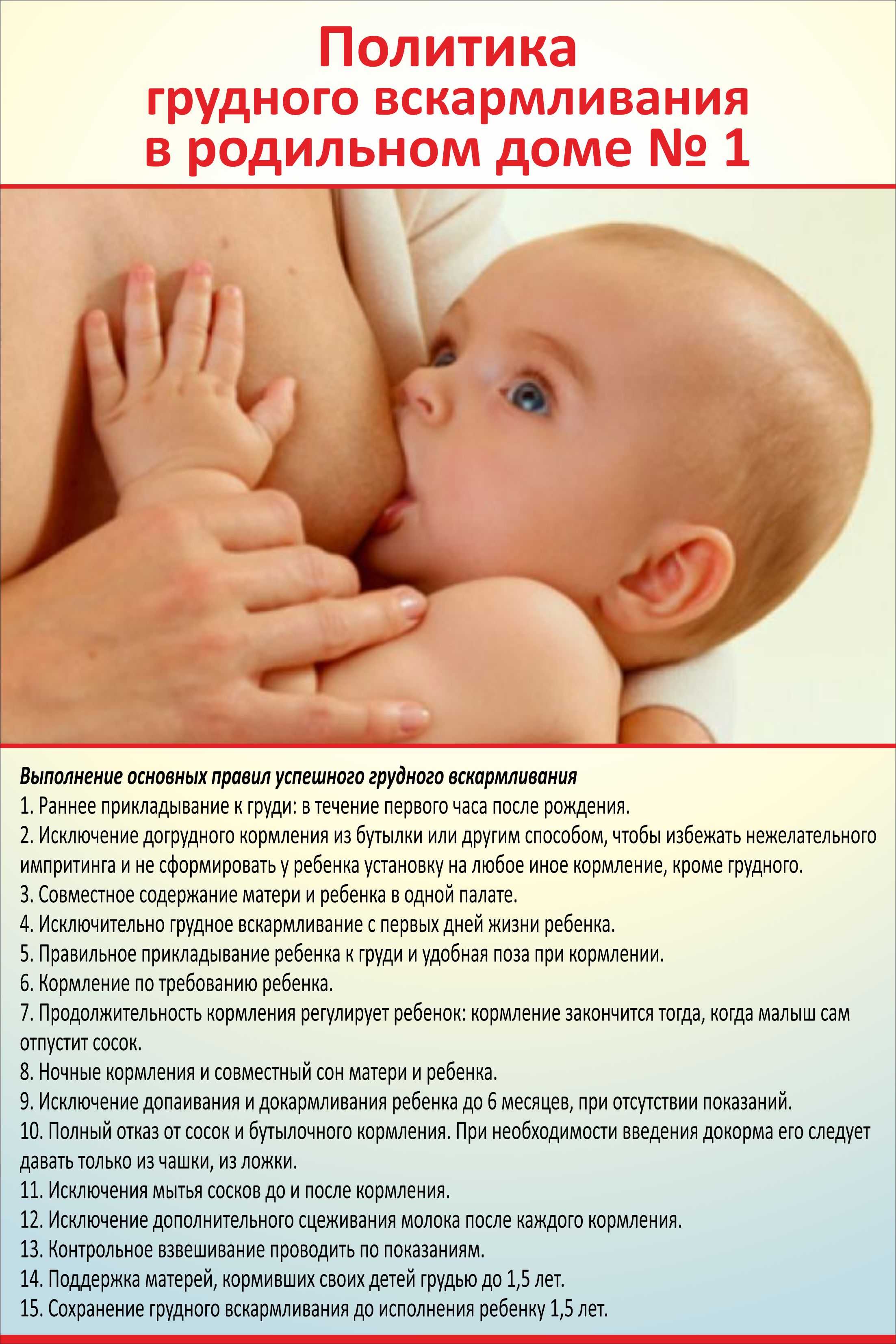 Полное руководство по грудному вскармливанию