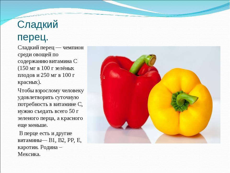 Правила употребления болгарского перца кормящей мамой. какого цвета перец лучше выбрать? фаршированный перец в меню