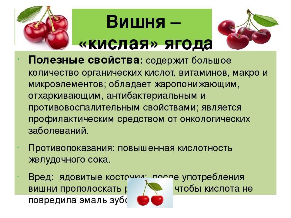 Можно ли кушать вишню беременным?