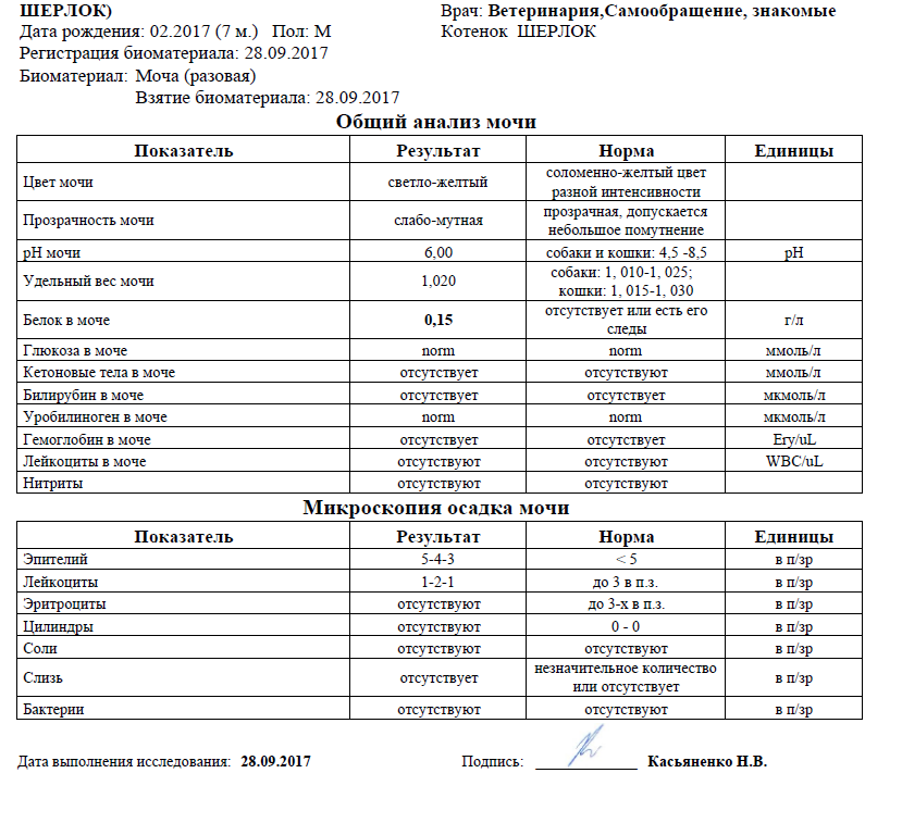 Глюкоза кетоновые тела в моче. Анализ мочи на сахар норма у мужчин по возрасту таблица. Показатели Глюкозы в моче норма в таблице. Норма Глюкозы в моче ммоль/л. Сахар в моче показатели нормы таблица.