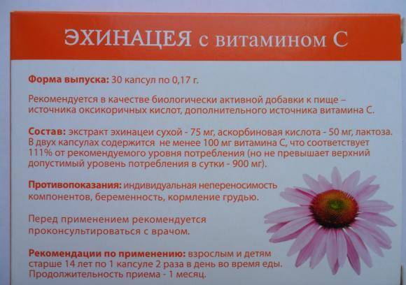 Эхинацея п. инструкция по применению. справочник лекарств, медикаментов, бад