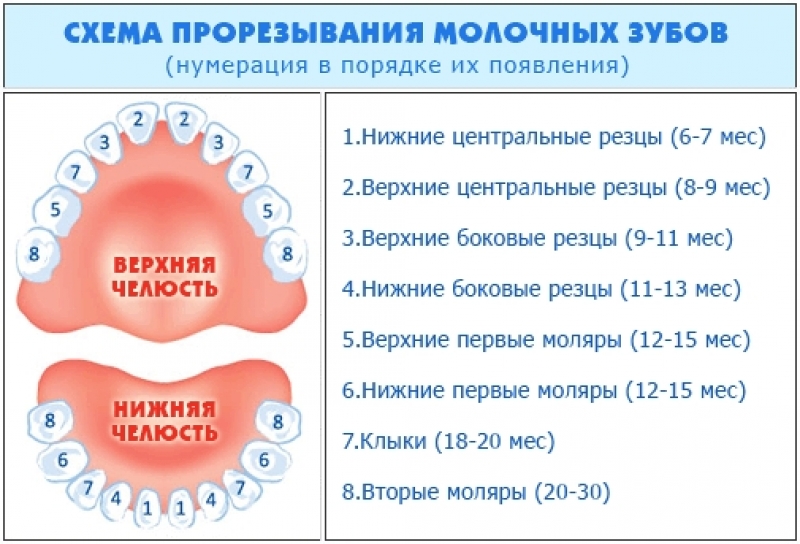 Что делать при поносе у ребенка при прорезывании зубов, опасен ли жидкий стул для грудничков