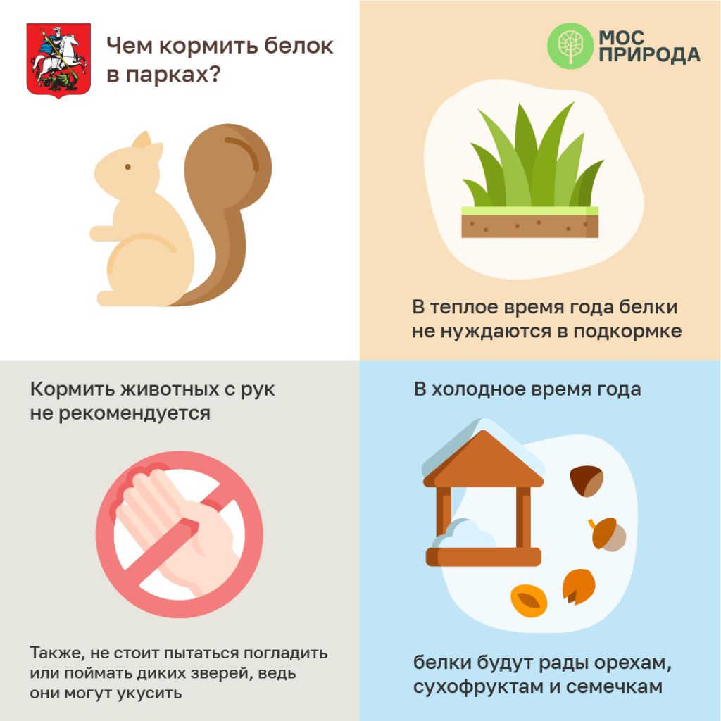 Почему нельзя отлучать летом? перестать кормить летом!