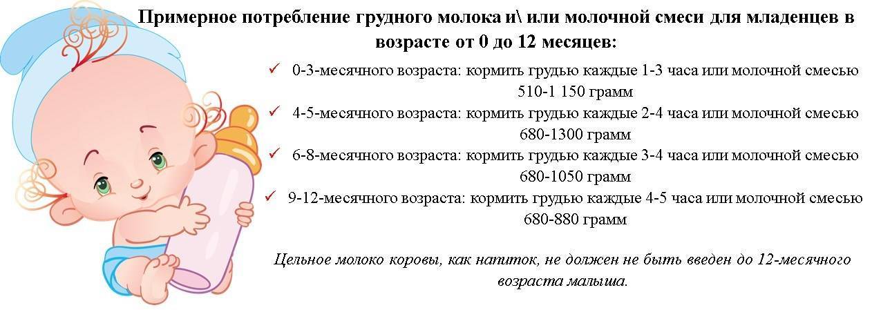 Особенности кормления грудничка