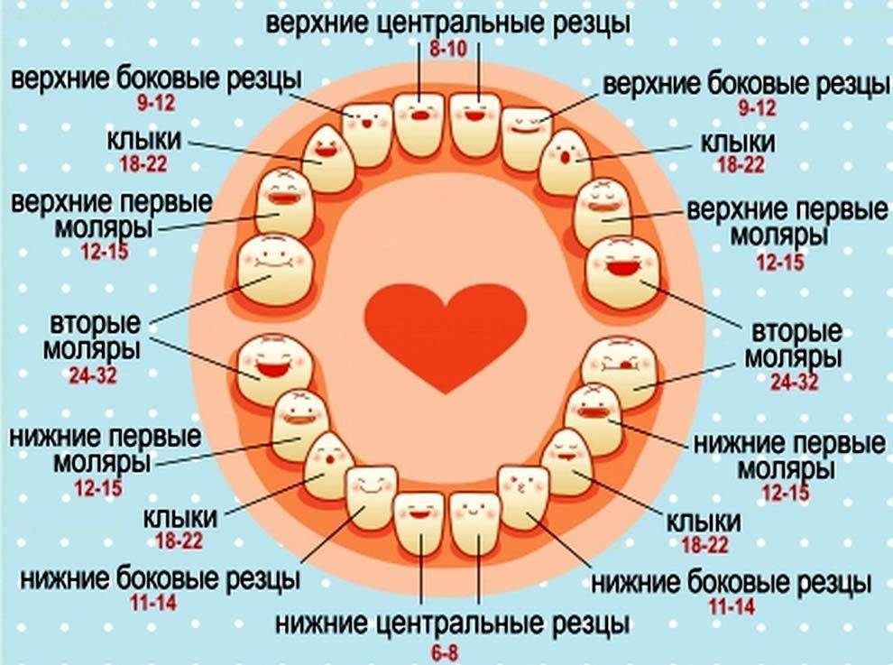Симптомы резки зубов у детей: как понять, что ребенок режет зубы