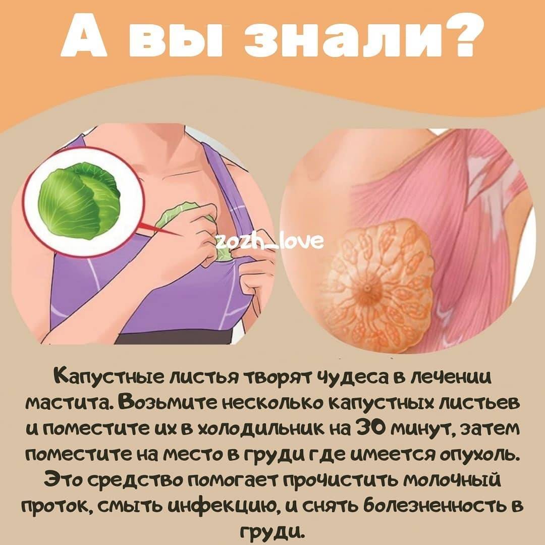 Грудь после родов: как сохранить красоту и привлекательность