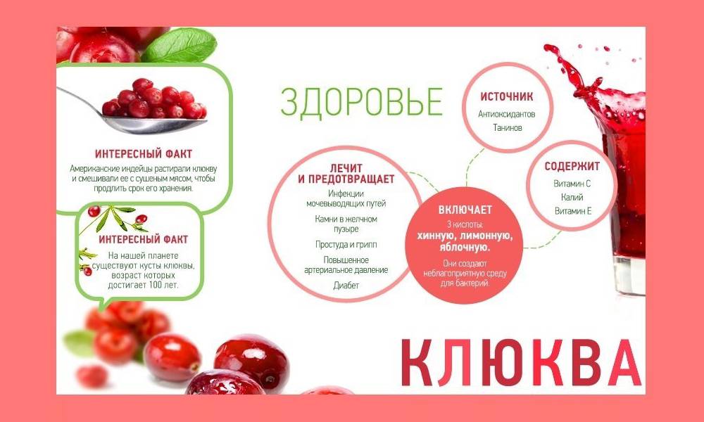Клюква для детей: полезные свойства, рекомендации по применению