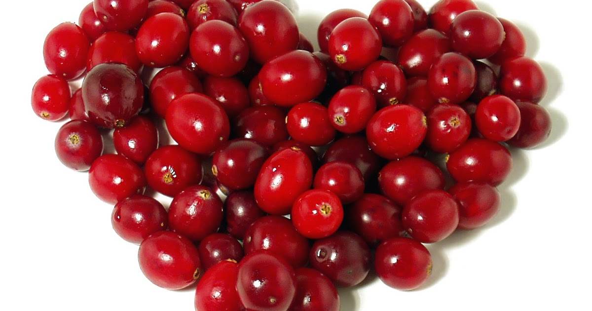 Брусника при беременности, грудном вскармливании: польза и вред
