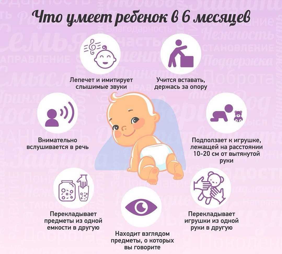 Ребенок в 6 месяцев / календарь развития ребенка