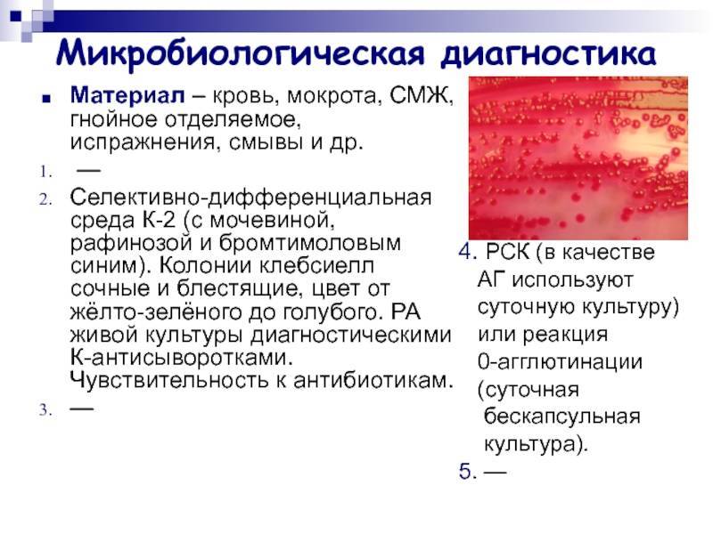 Мнение доктора комаровского о клебсиелле в кале у грудничка - лечить или нет?