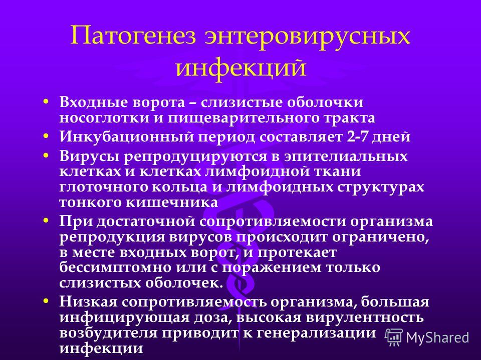 Симптомы и лечение энтеровирусной инфекции у детей: инкубационный период и осложнения, диета, комаровский о заболевании