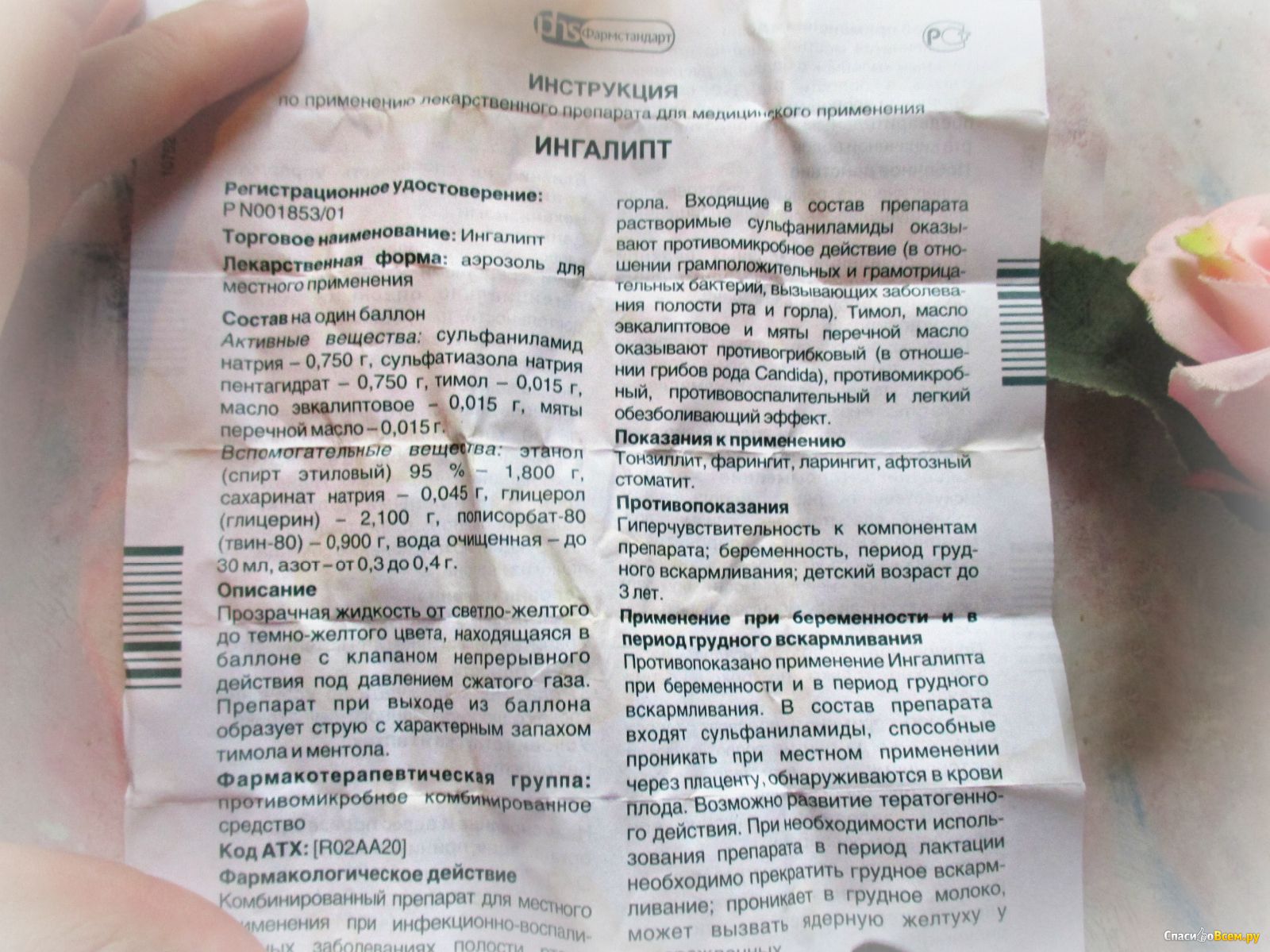 Ингалипт при беременности: инструкция по применению, показания и противопоказания