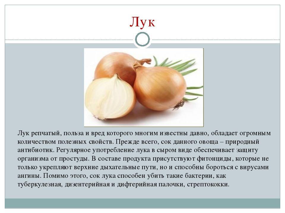 Лук беременным: можно ли есть репчатый овощ во время вынашивания плода и как кушать, лечебные рецепты с медом от кашля, из сока от насморка, отвар из шелухи