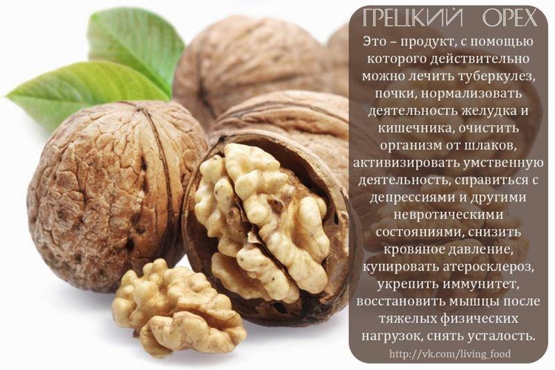 Можно ли есть грецкие орехи при грудном вскармливании новорожденного?