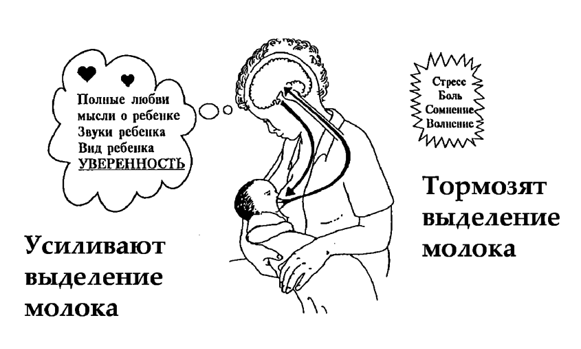 Как восстановить грудное вскармливание (вернуть, возобновить лактацию) — после перерыва, бутылочки, смешанного питания, антибиотиков или стресса