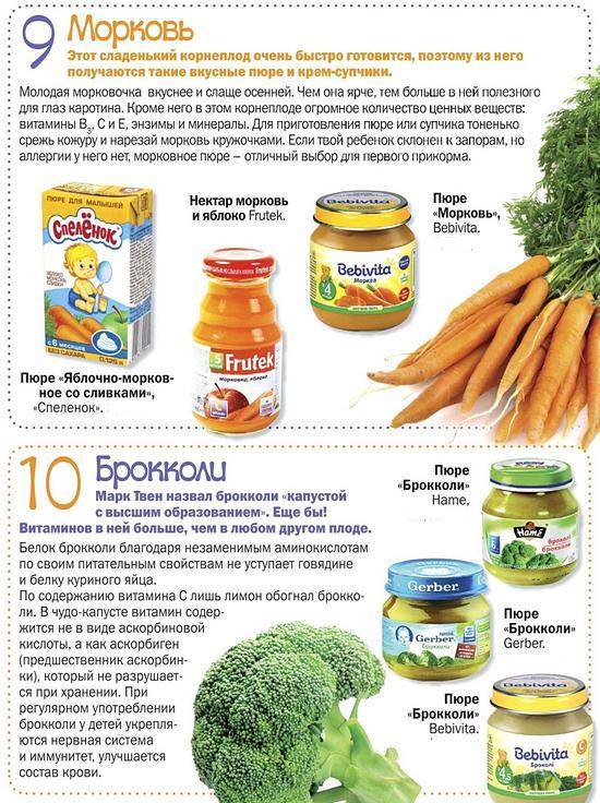 Морковь в питании и прикорме ребёнка | уроки для мам
