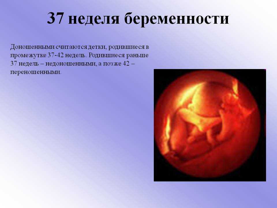 ➤ 37 неделя беременности всё что нужно знать будущим родителям