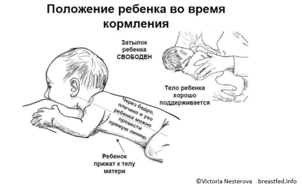 Правильное прикладывание новорожденного ребенка при грудном вскармливании