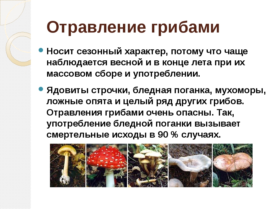 С какого возраста можно давать ребенку грибы: советы, отравление