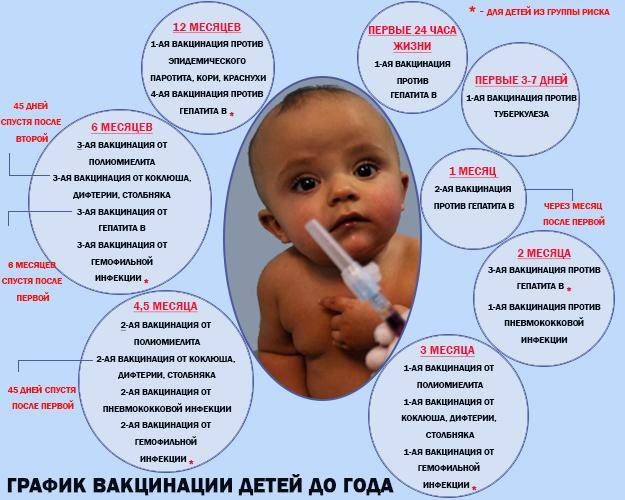 Прививки в 3 месяца: реакция на вакцинацию, особенности проведения