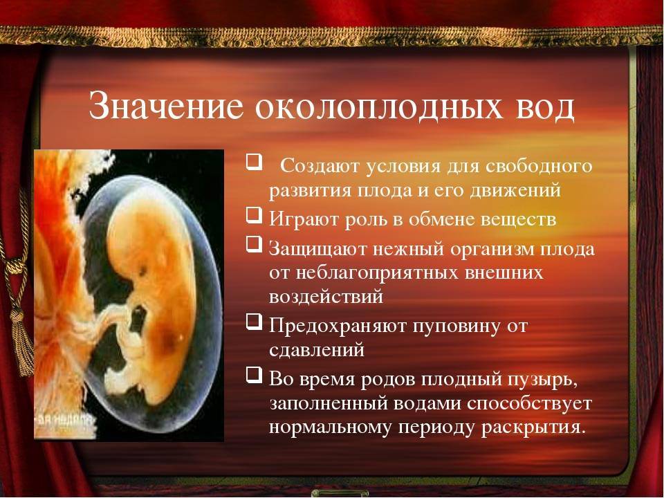 Как отходят воды у беременных перед родами и как они выглядят, как понять, что произошло излитие?