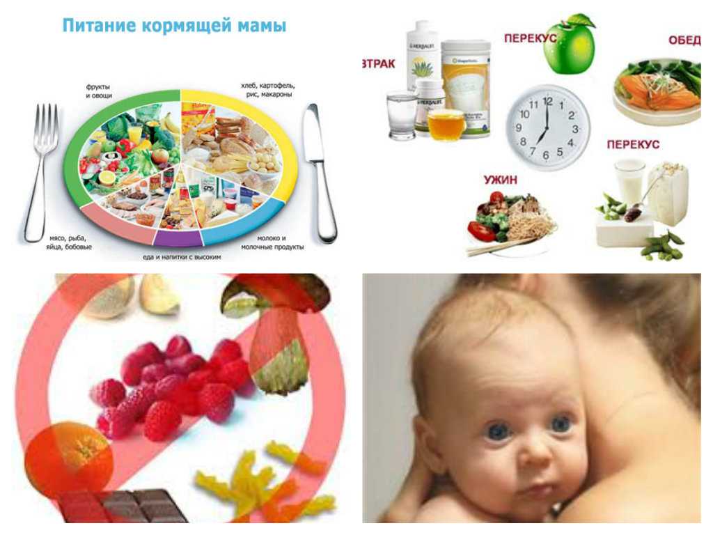 Диета кормящей мамы в первые месяцы | статьи - similac