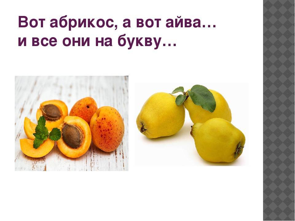 Айва японская: что делать с плодами и в чем их польза