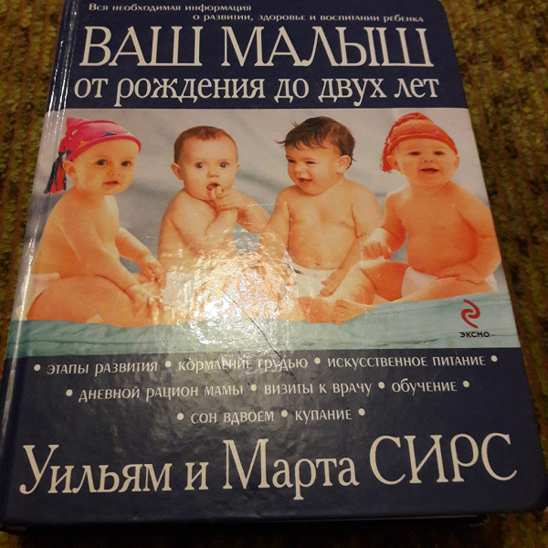 Ваш малыш. путеводитель от рождения до двух лет (элизабет андреани, доминик ружье)