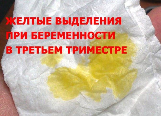 Второй триместр беременности — когда начинается второй триместр беременности — центр гинекологии и акушерства