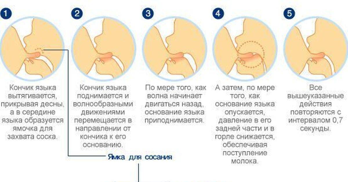 Чередование груди при кормлении ? как и зачем? (+ видео)