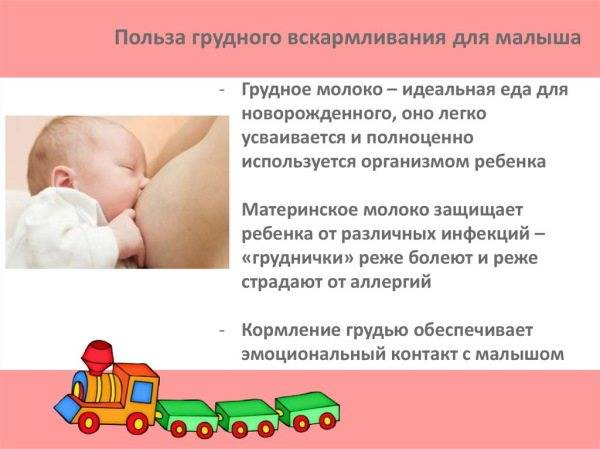 На какие сутки пропадает молоко после прекращения кормления