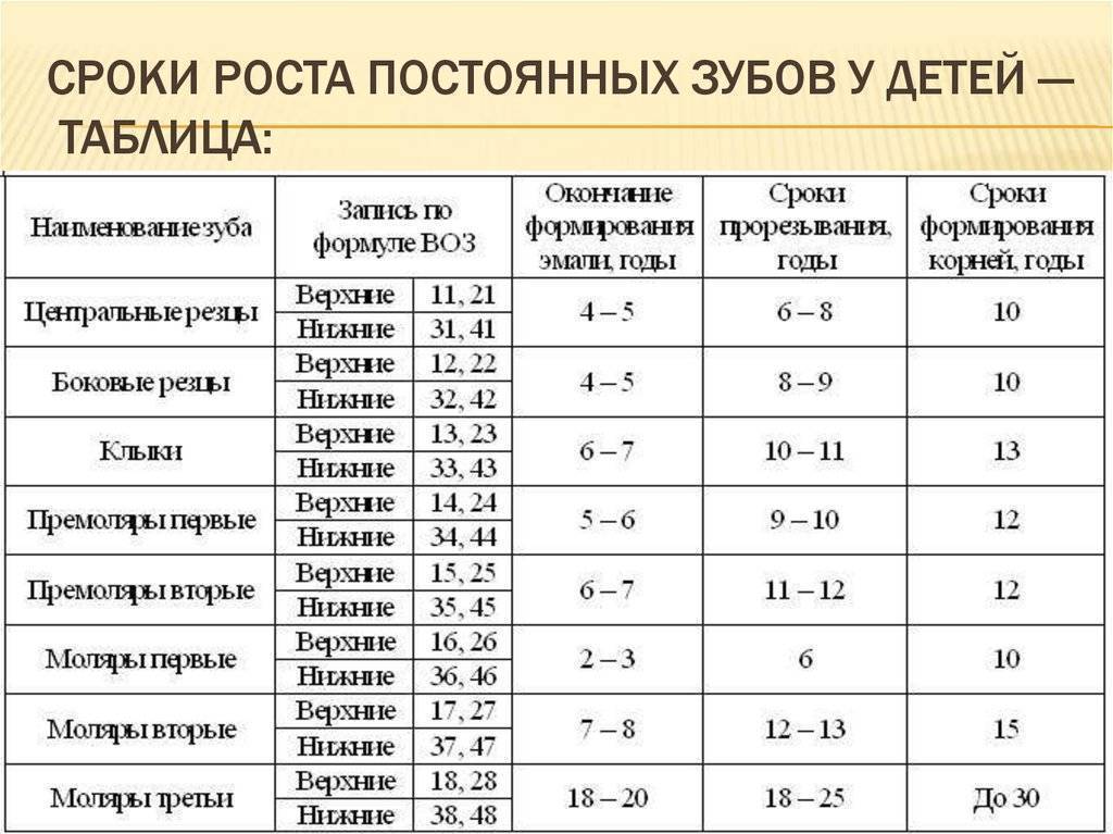 Порядок прорезывания зубов у детей: последовательность роста, симптомы у малышей до года